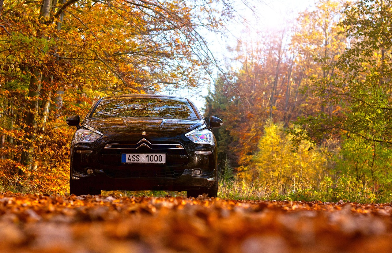 Citroën évasion